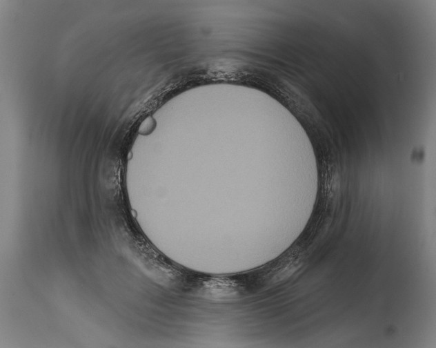 X0000114580603200911161311