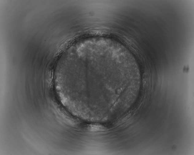 X0000114580605200911161311