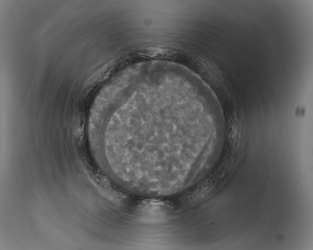 X0000114580607200911161311