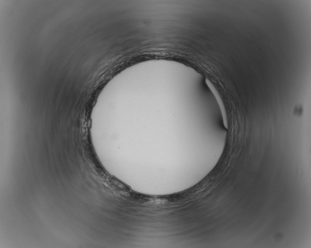 X0000114580609200911161311