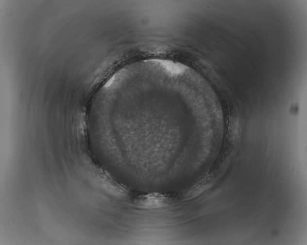 X0000114580612200911161311