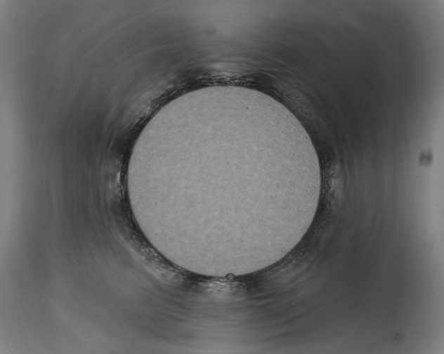 X0000114580615200911161311