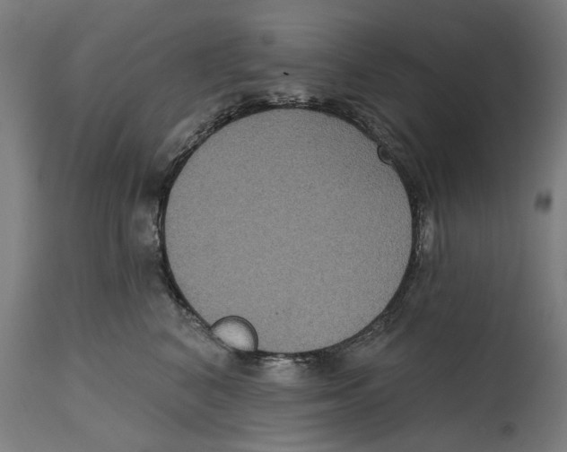 X0000114580616200911161311