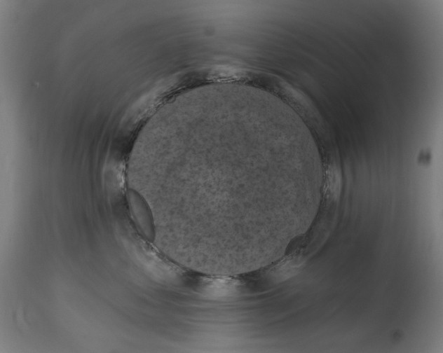 X0000114580621200911161311