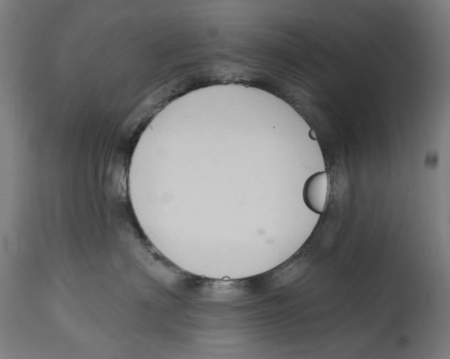 X0000114580622200911161311