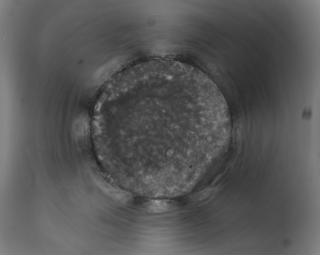 X0000114580623200911161311