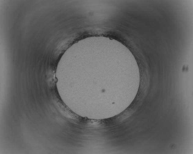 X0000114580624200911161311