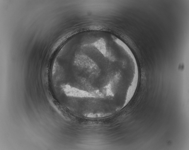 X0000114580626200911161310