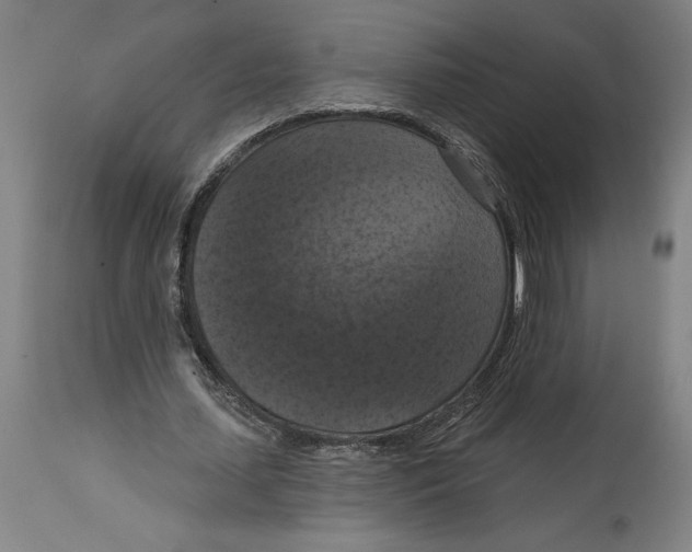 X0000114580627200911161310