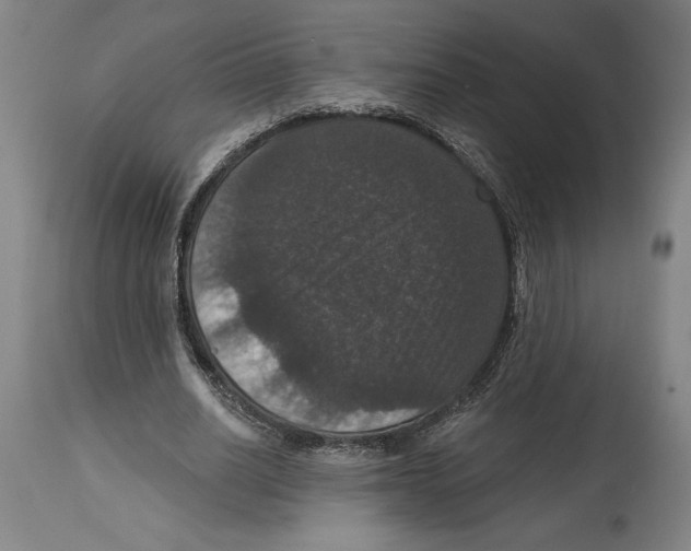 X0000114580630200911161310