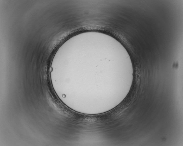 X0000114580631200911161310