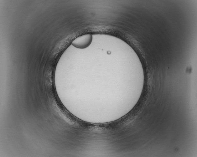 X0000114580633200911161310