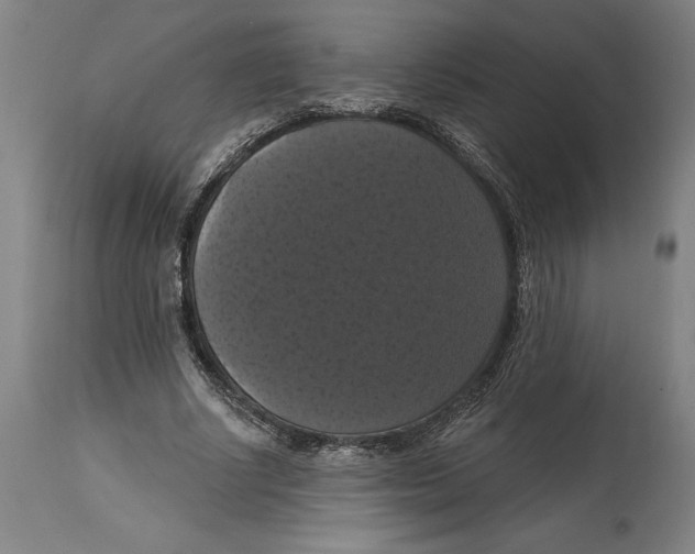 X0000114580634200911161310