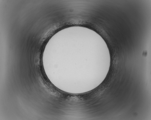 X0000114580635200911161310