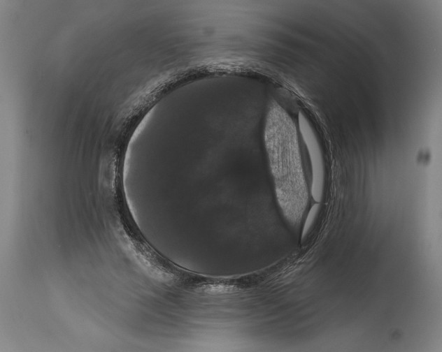 X0000114580637200911161310