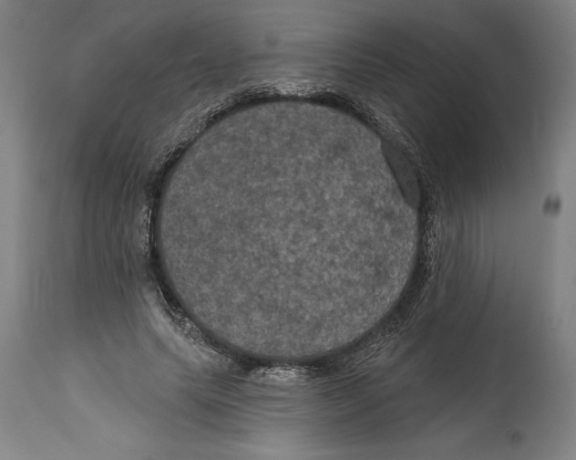 X0000114580639200911161310