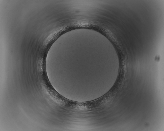 X0000114580640200911161310