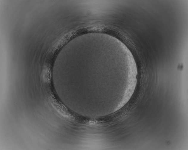 X0000114580641200911161310