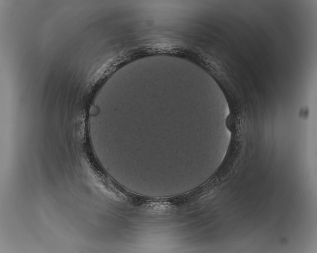 X0000114580642200911161310