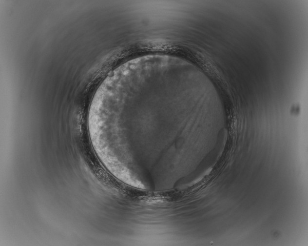 X0000114580643200911161310