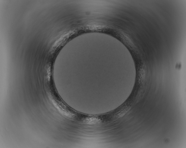 X0000114580644200911161310