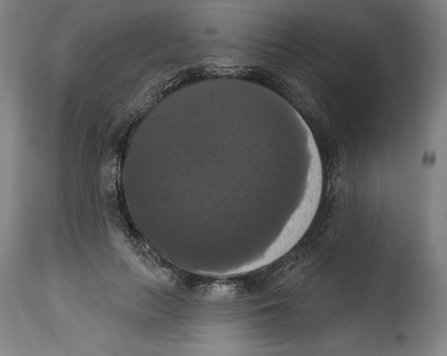 X0000114580647200911161310