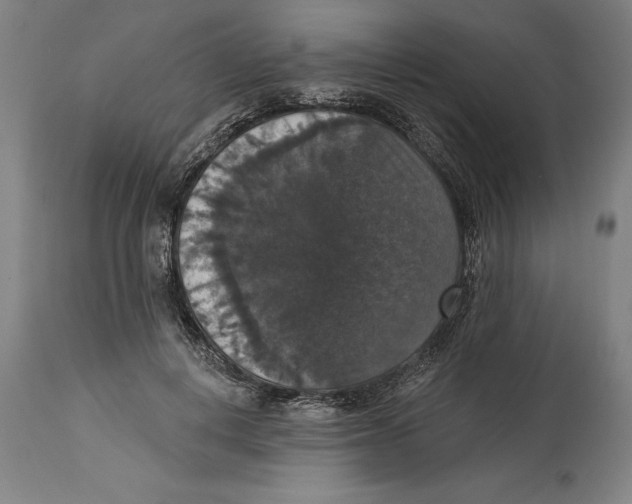 X0000114580648200911161310