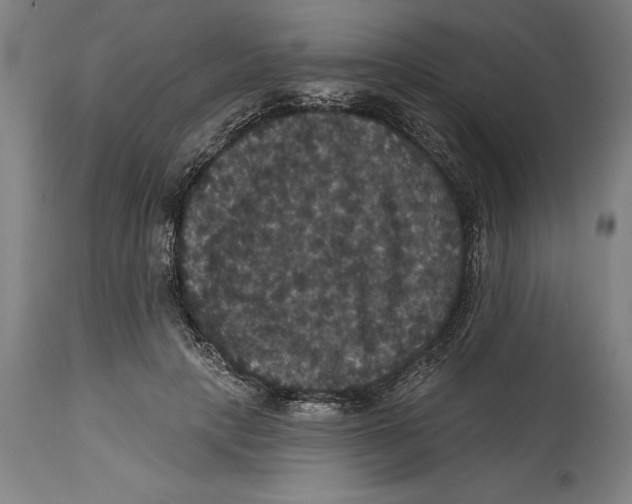 X0000114580649200911161310