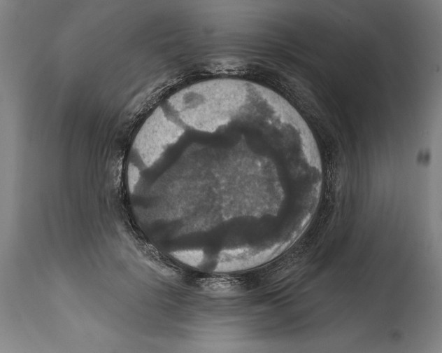 X0000114580652200911161310