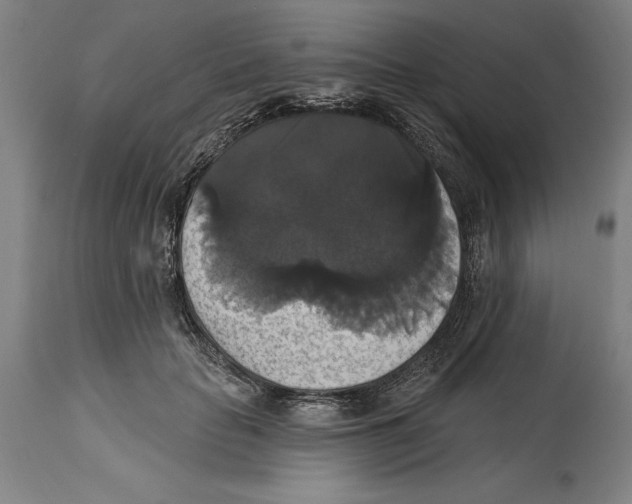 X0000114580653200911161310