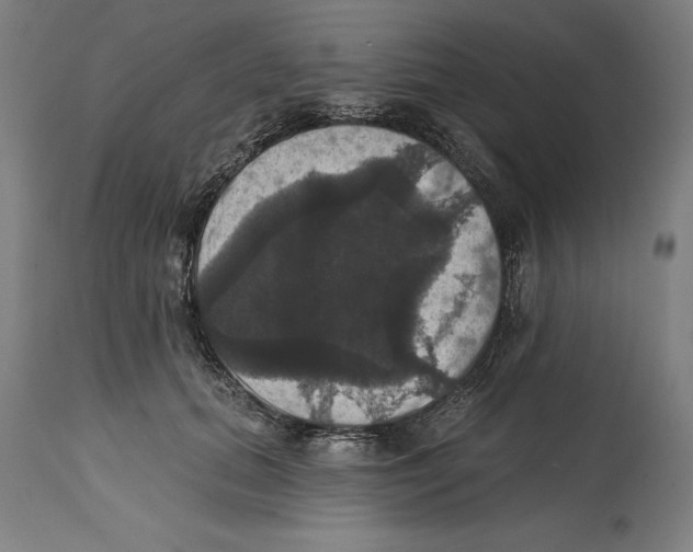 X0000114580655200911161310