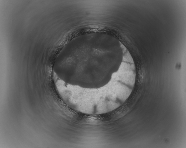 X0000114580657200911161310