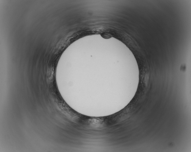 X0000114580660200911161310