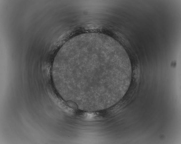 X0000114580662200911161311