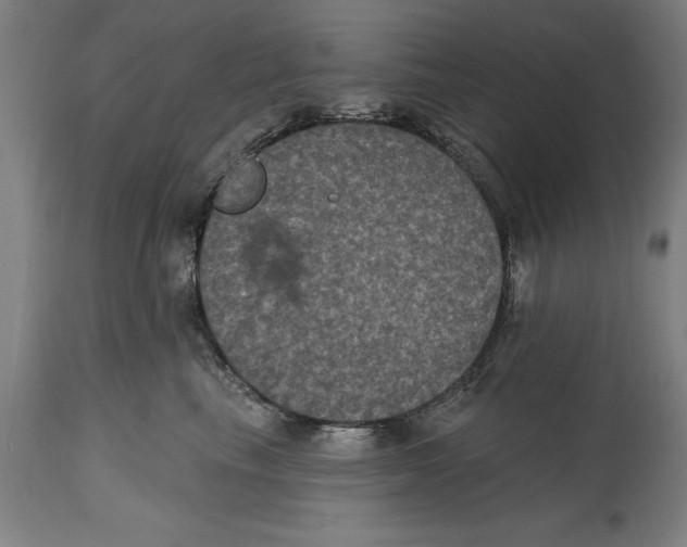 X0000114580665200911161311