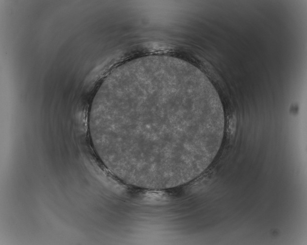 X0000114580666200911161311