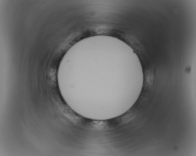 X0000114580667200911161311