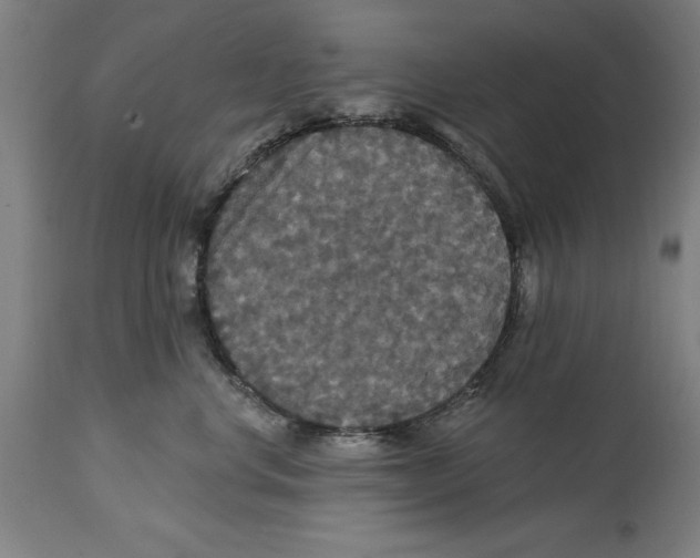 X0000114580668200911161311