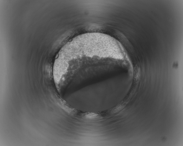 X0000114580669200911161311