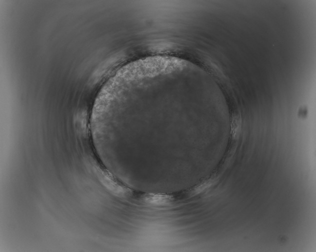 X0000114580670200911161311