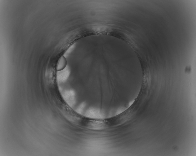 X0000114580671200911161311