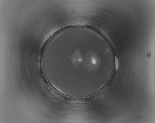 X0000114580675200911161310