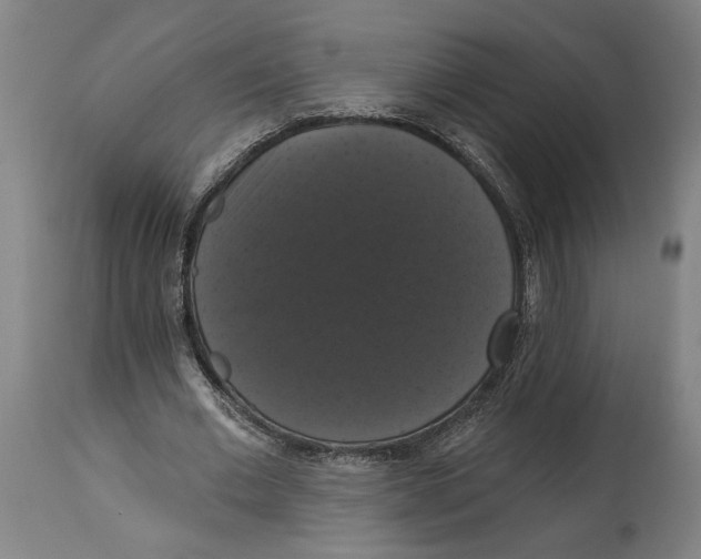 X0000114580677200911161310