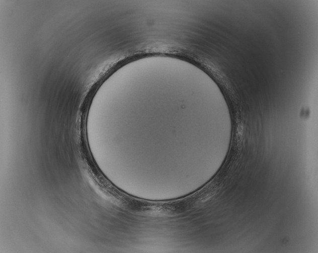 X0000114580678200911161310