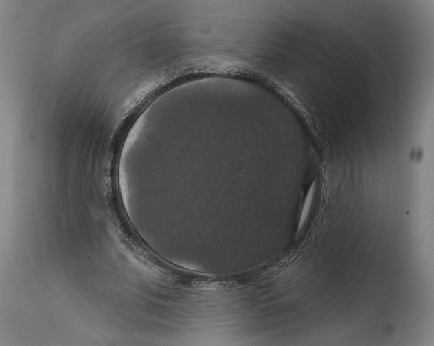 X0000114580679200911161310