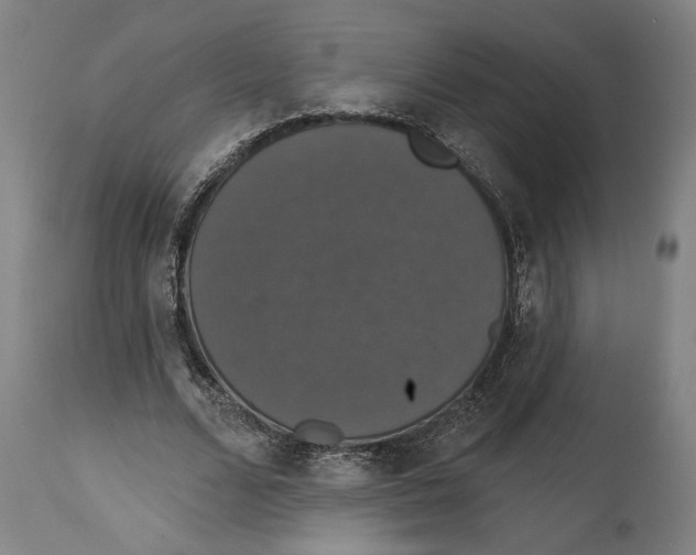 X0000114580680200911161310