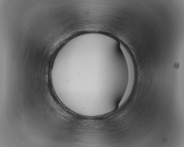 X0000114580681200911161310