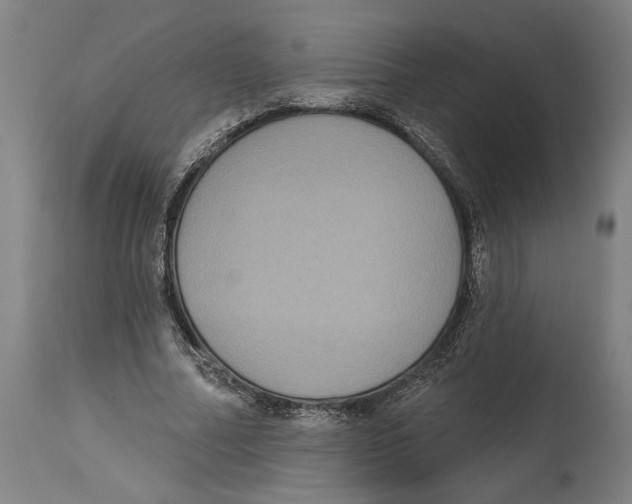 X0000114580682200911161310