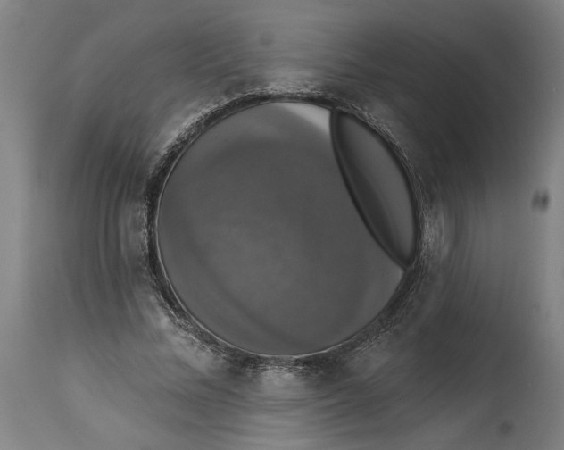 X0000114580684200911161310