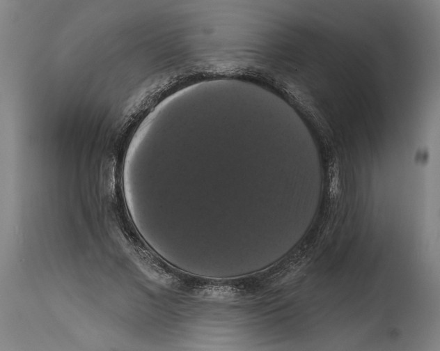 X0000114580685200911161310